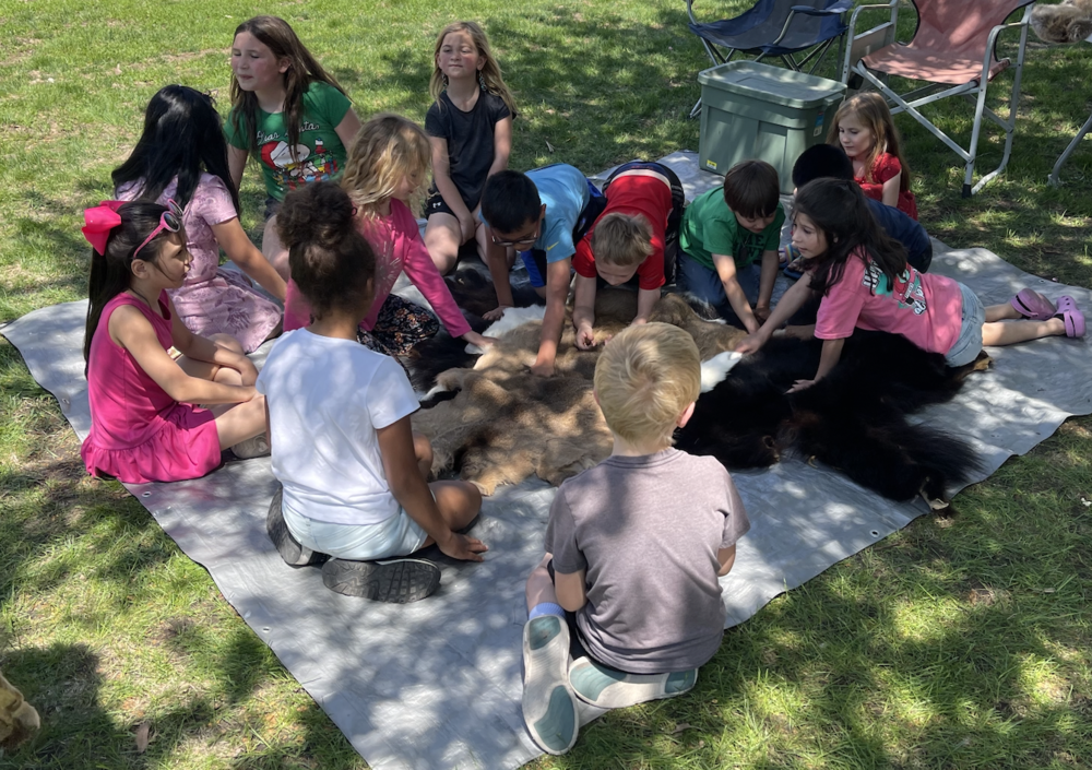 2nd Grade to visit B-K HS Ag Day
